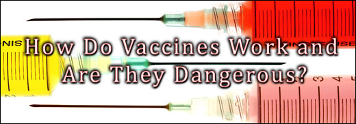 How do vaccines work? Are they dangerous?