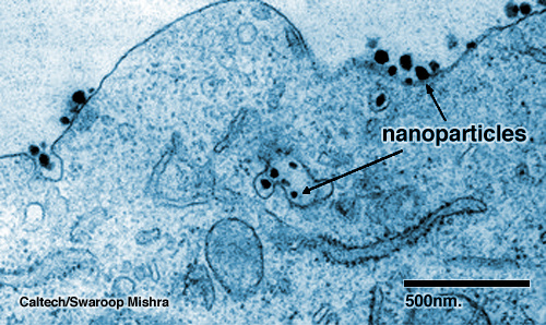 Smart Nanoparticles