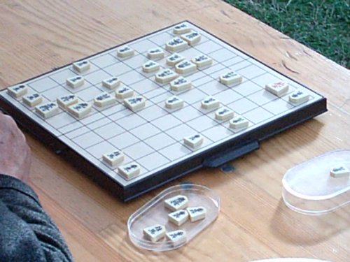 Chess computers reach the next level