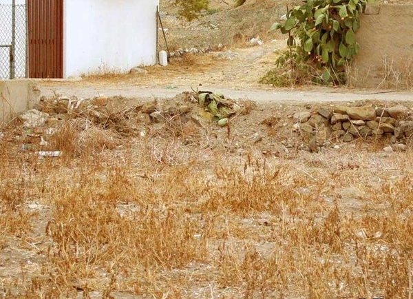 Find the Cat in the Photo3