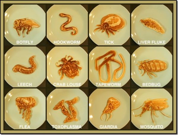 parasites-pancakes