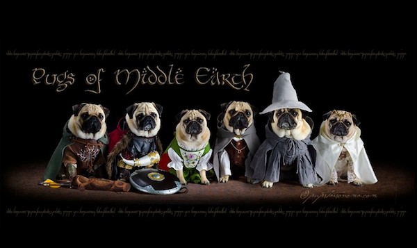 pugs-middle-earth