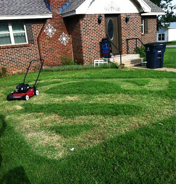 super-lawn