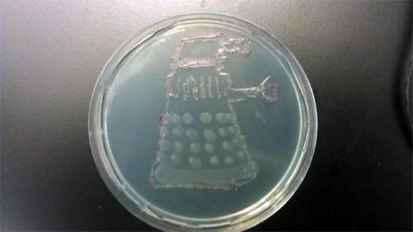 dalek-bacteria