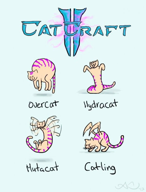 catcraft