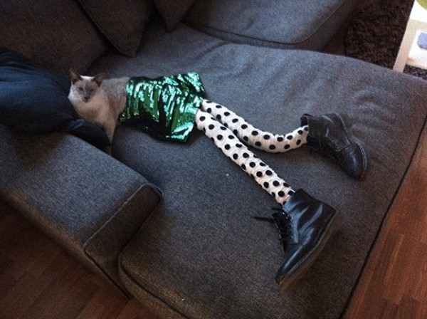 cats wearing tights 4