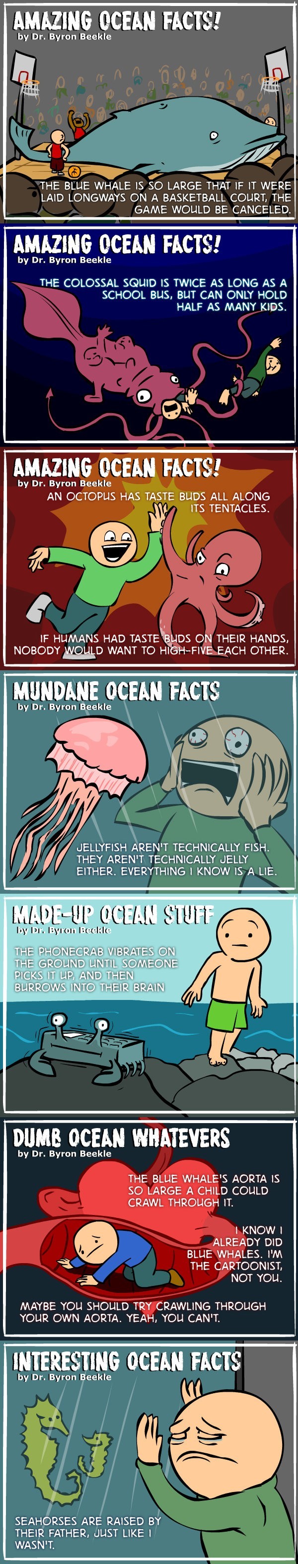 ocean facts