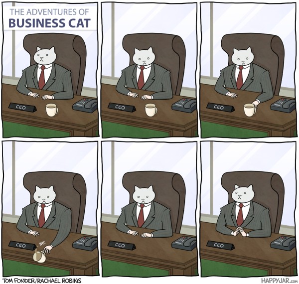 business-cat