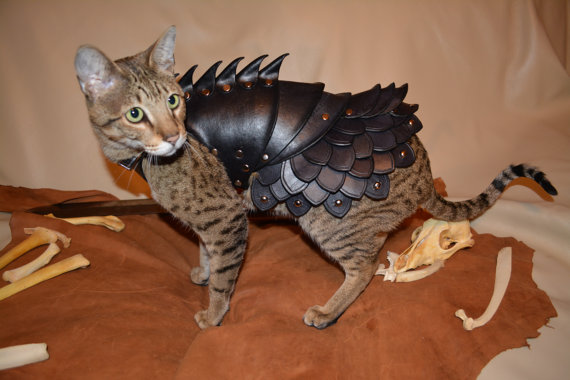 cat-armor-2