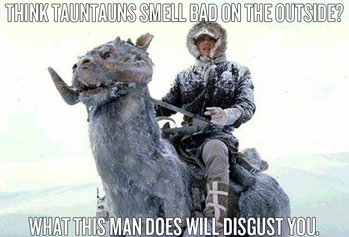 tauntaun