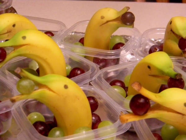 banana dolphins