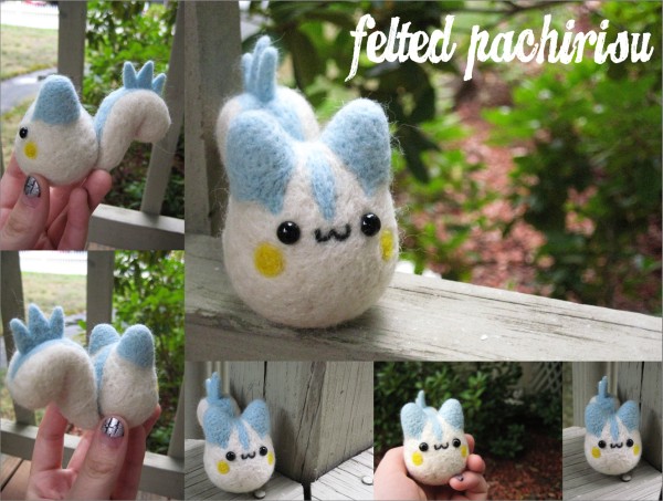 felted-pachiriou