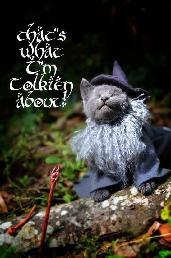 Gandalf kitteh 2