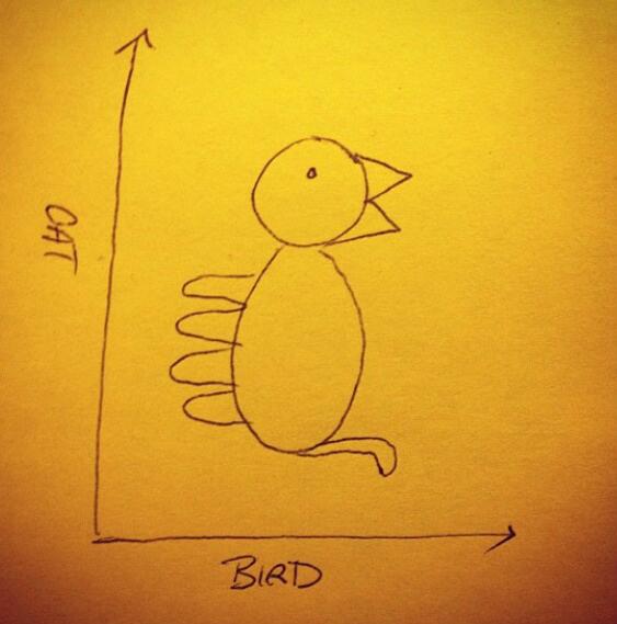 cat-bird