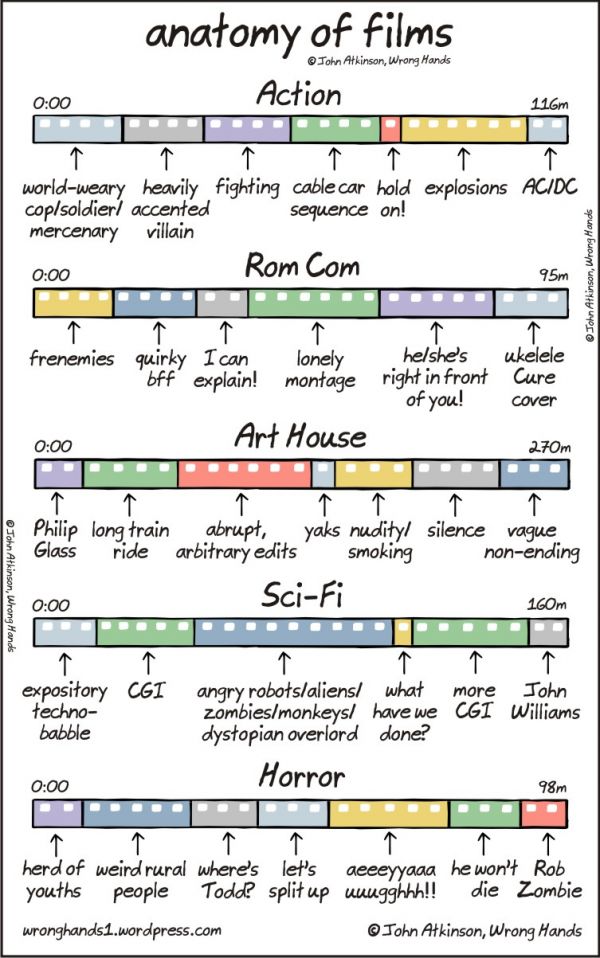 anatomy1