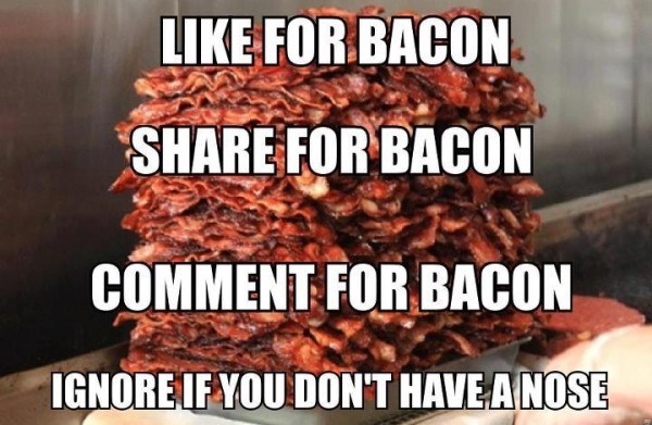 bacon