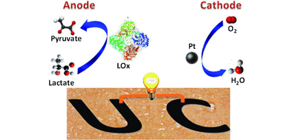 lactatebattery