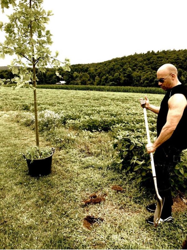 vin-diesel-plants-a-tree-for-groot