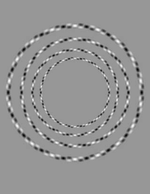 circles