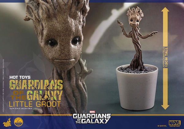 groot1