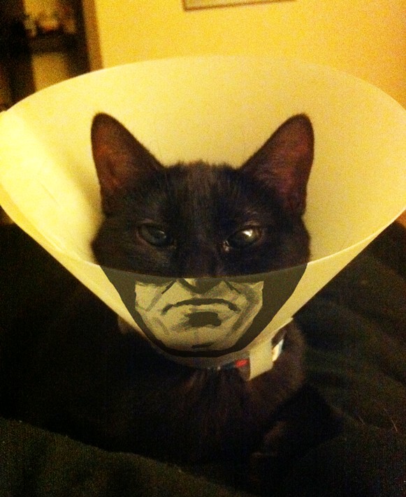 catman