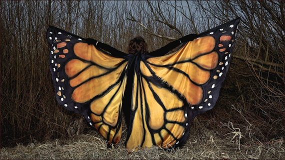 butterfly wings 1