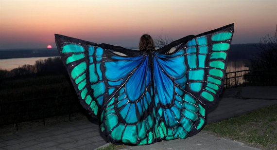 butterfly wings 2