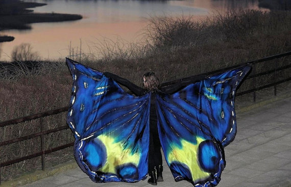 butterfly wings 3