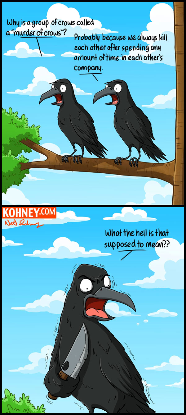 crows