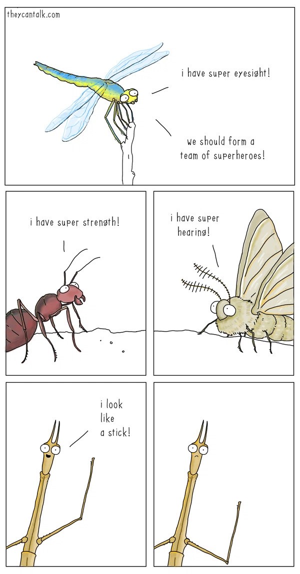 insects