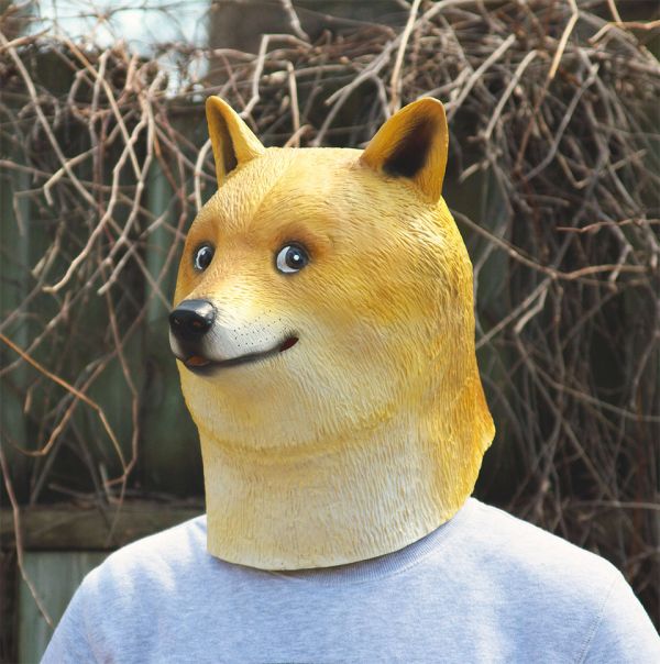 doge1