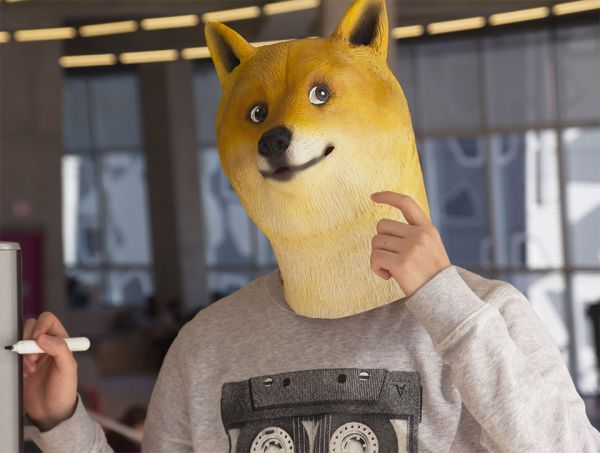 doge2