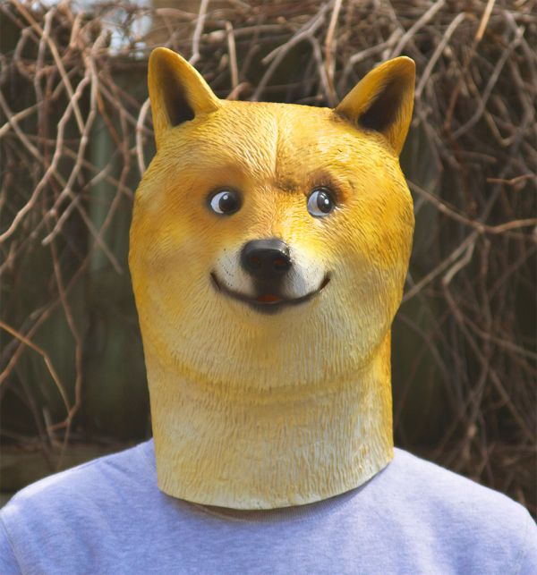 doge4