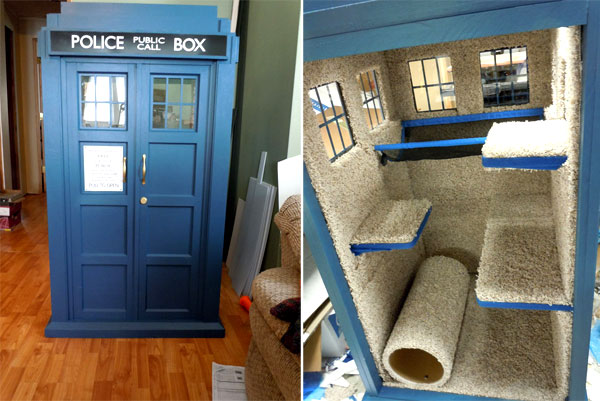 tardis-cat1