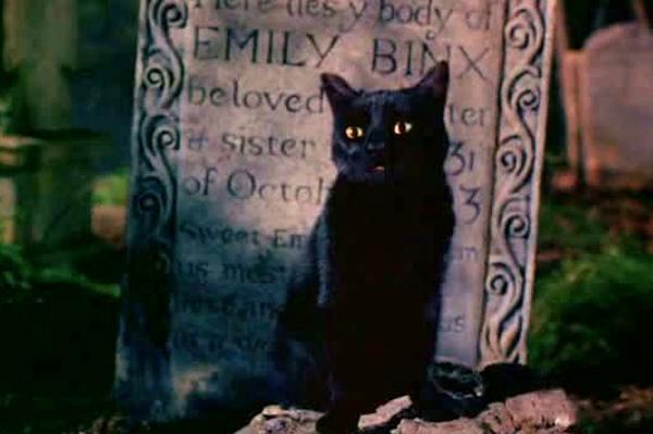 Marsden was the voice of the black cat Thackery Binx in "Hocus Pocus" (1993) but was played by actor Sean Murray of "NCIS" fame when he returns to his true form.