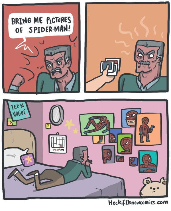 spider