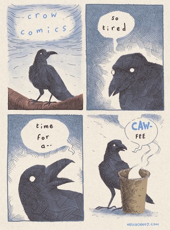 crow