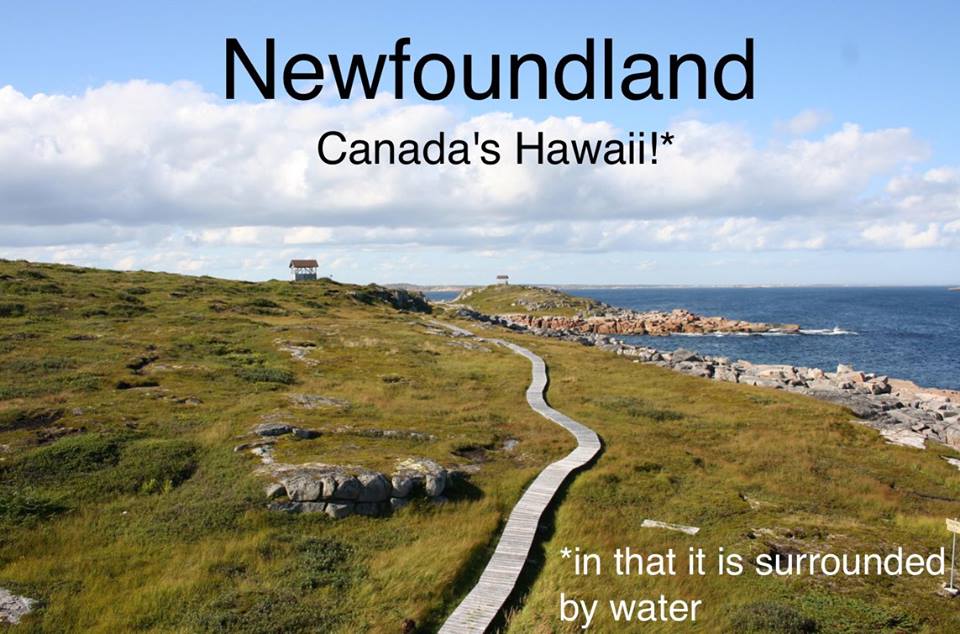 newfoundland