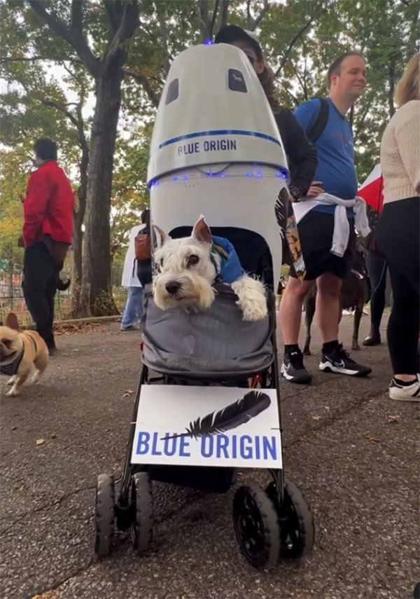 Blue Origin Dog Costume