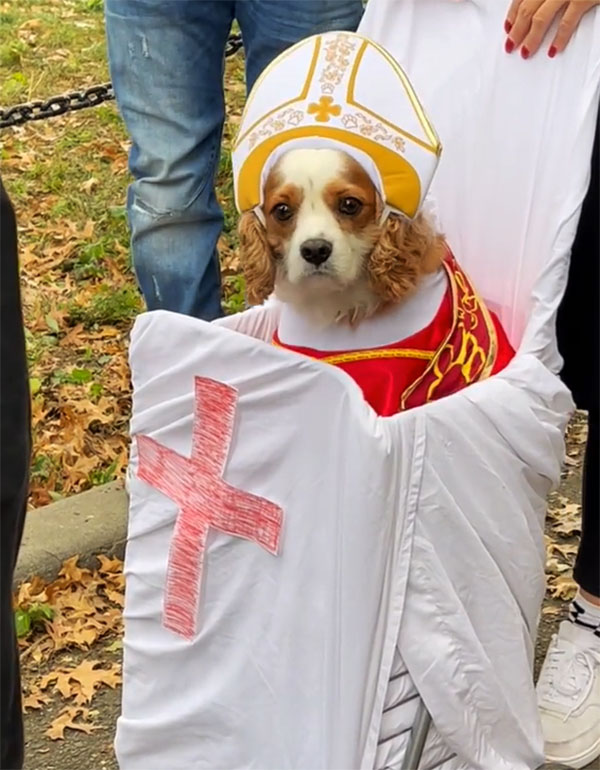 Pope Dog Costume