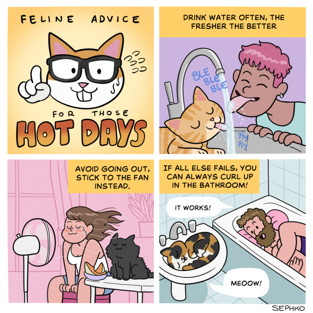 Feline Advice