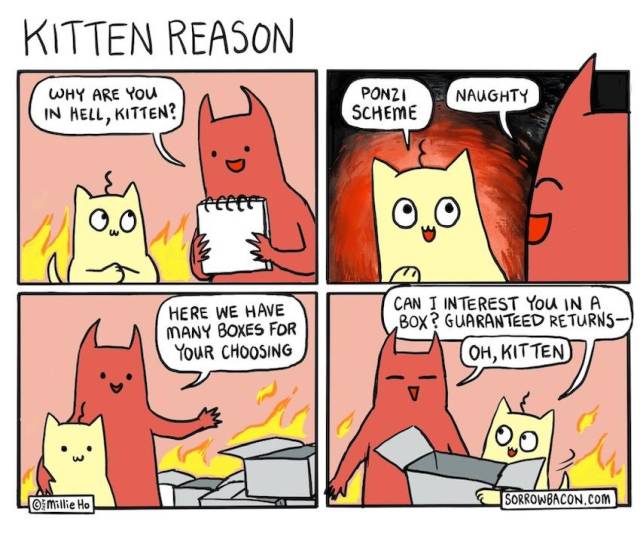 Kitten Reasons