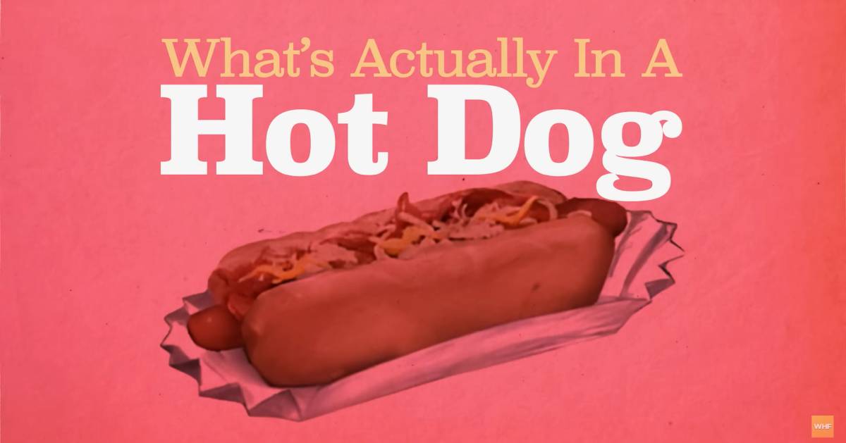 What's inside a hot-dog