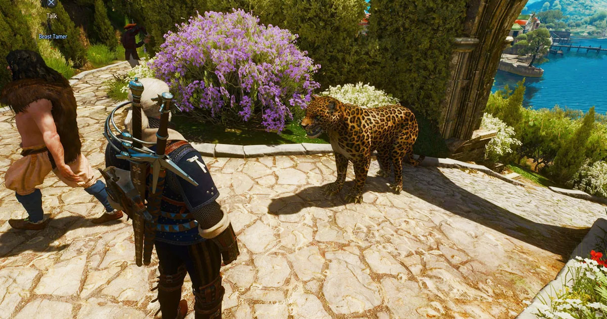 The Witcher III Leopard